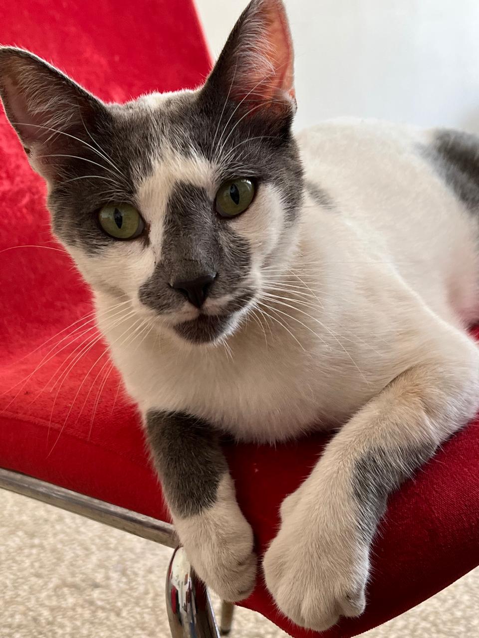 WhatsApp Image 2024-12-29 at 10.29.51