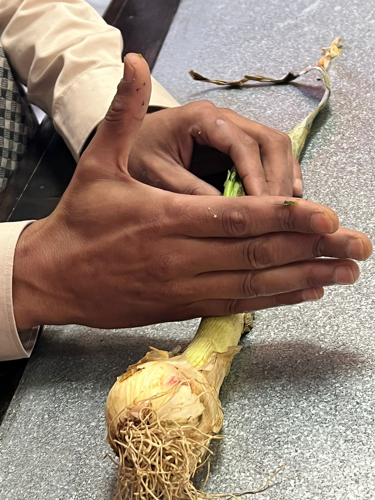 WhatsApp Image 2024-12-29 at 15.22.57