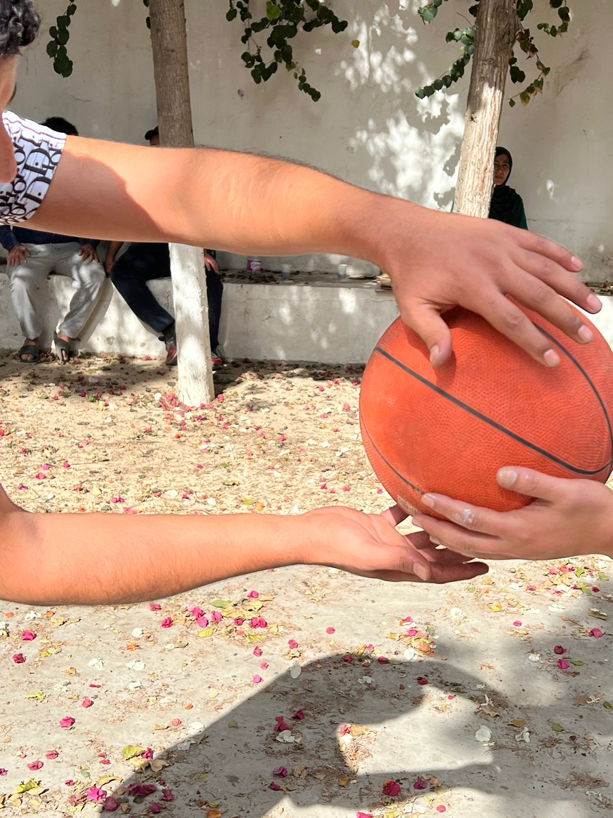 WhatsApp Image 2024-12-29 at 15.42.42 (3)